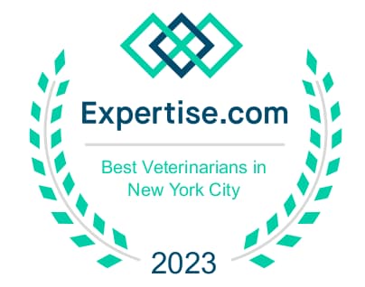 New York New York Veterinarians Expertise