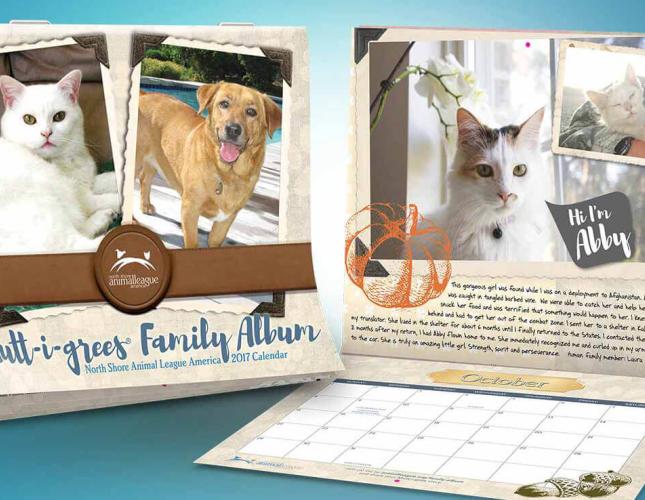 Animal Calendars for a good cause