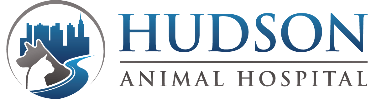 Hudson Animal Hospital